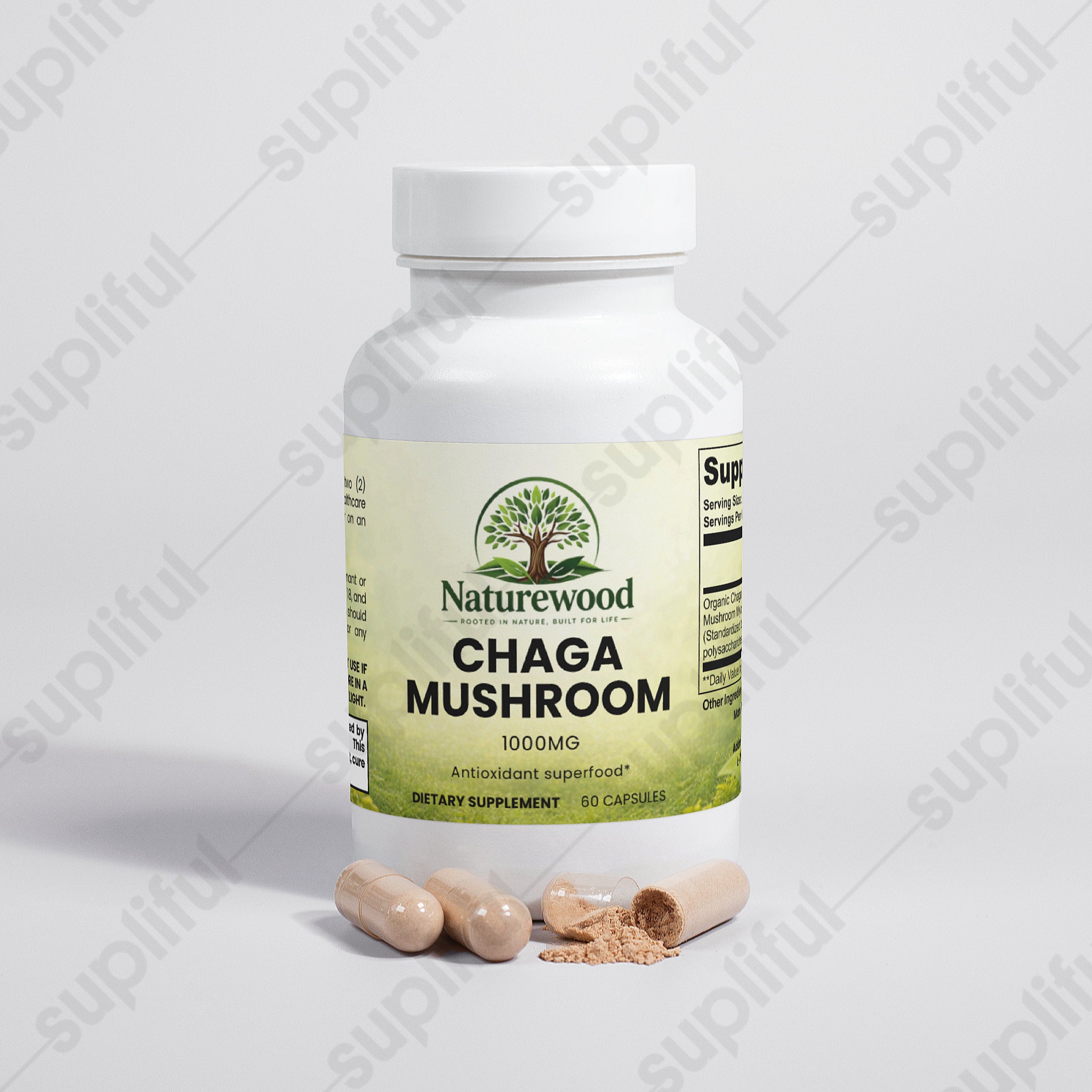 Chaga Mushroom