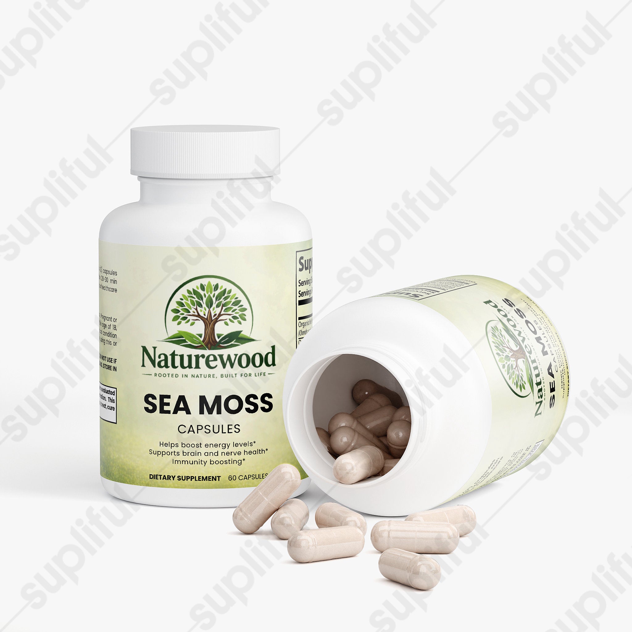Sea Moss