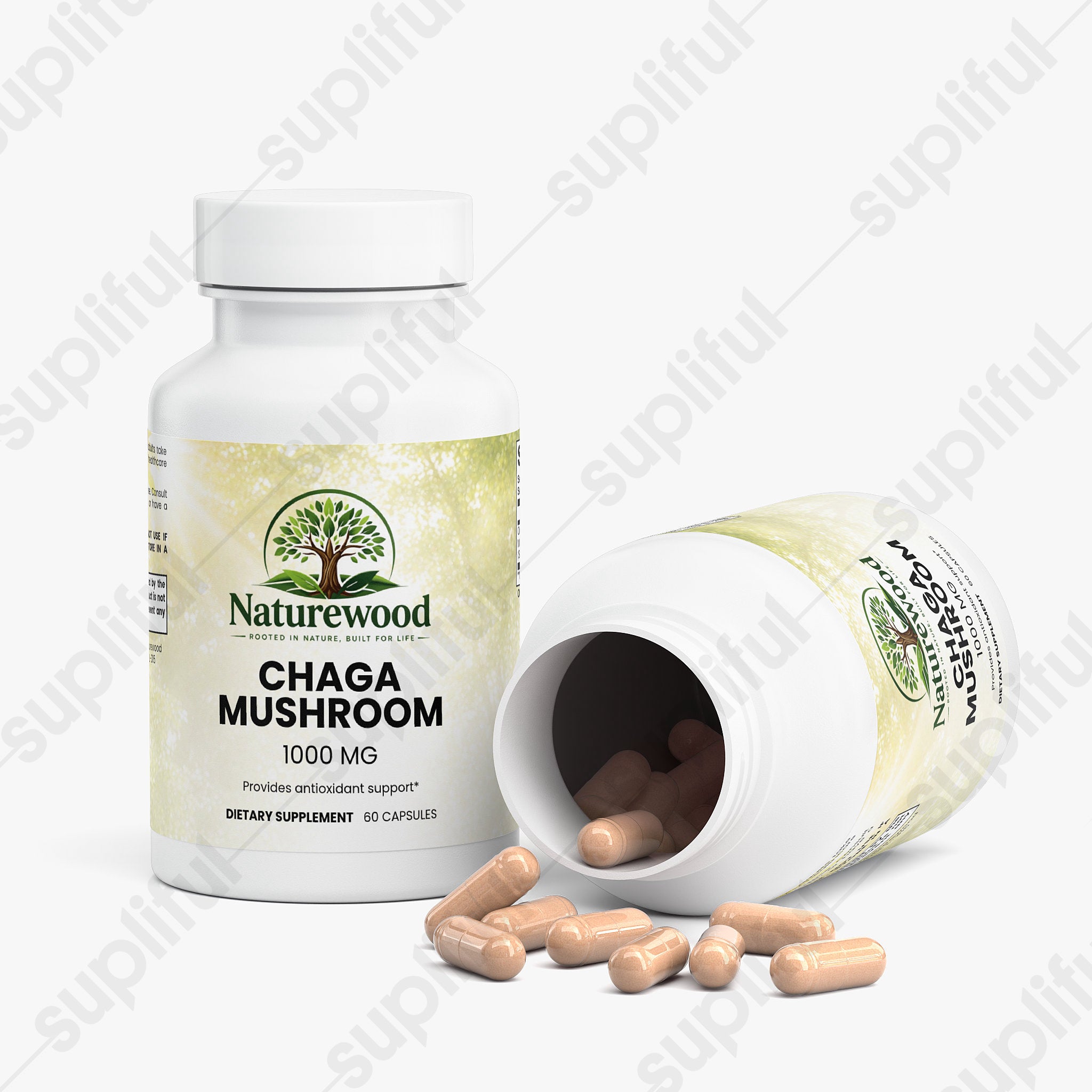 Chaga Mushroom
