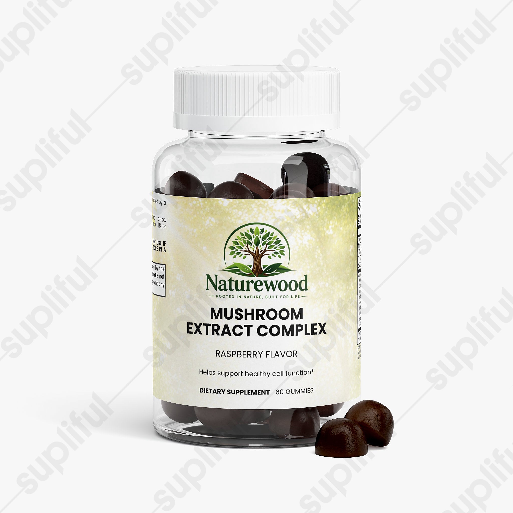 Mushroom Extract Complex
