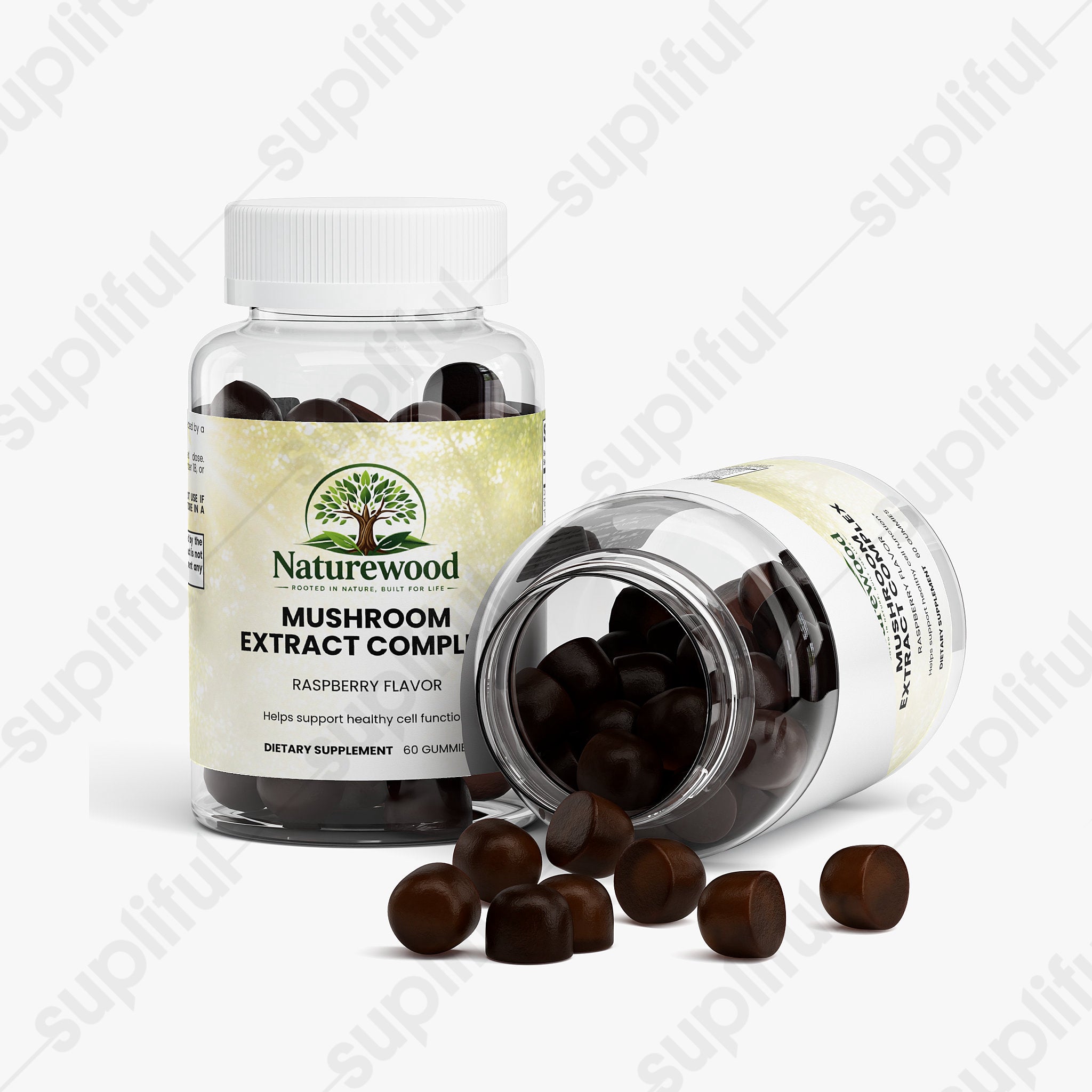 Mushroom Extract Complex