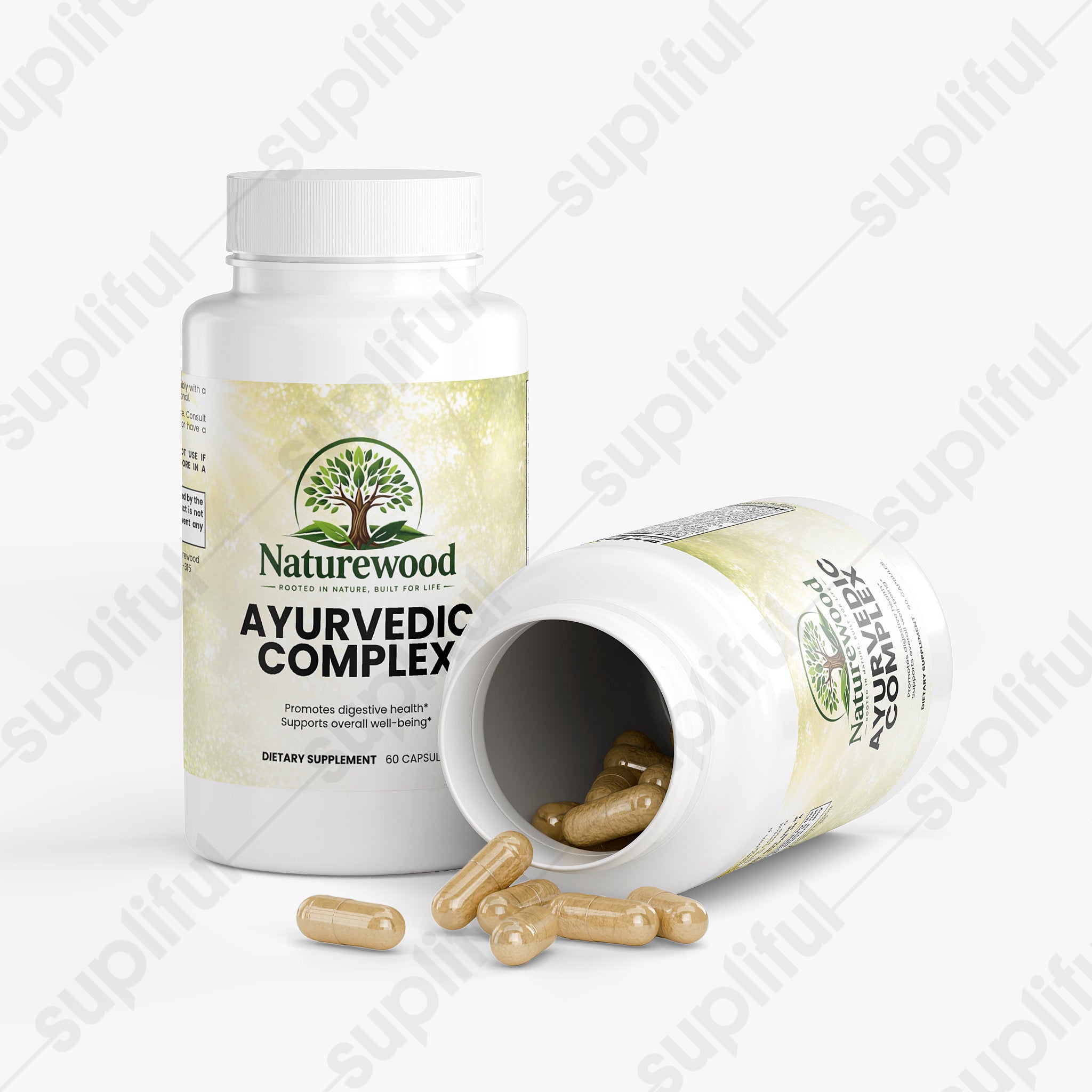 Ayurvedic Complex