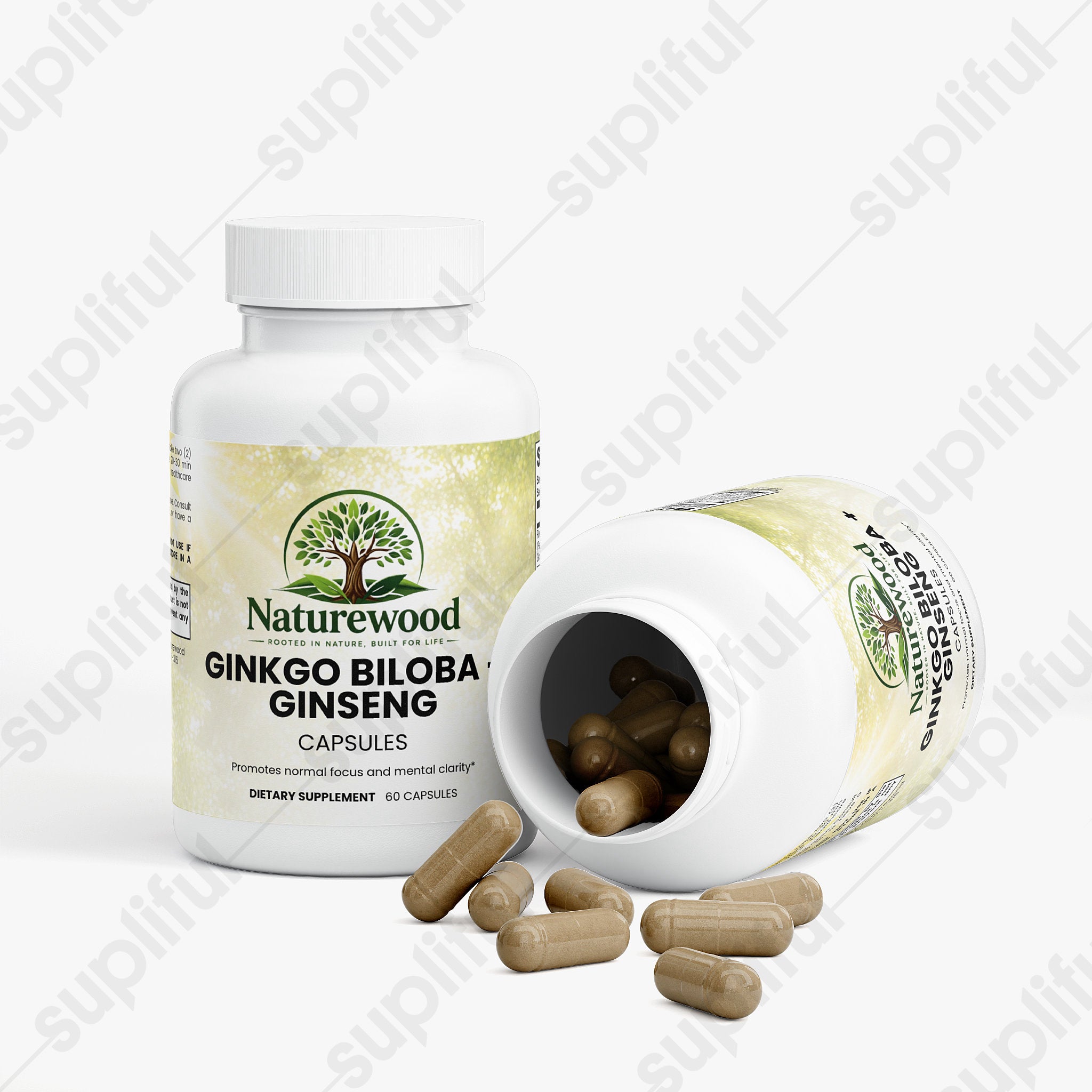 Ginkgo Biloba + Ginseng